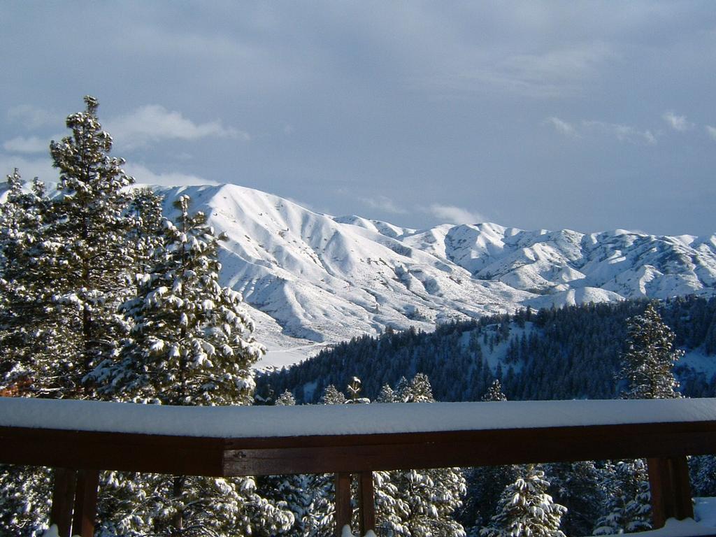 New View Real Estate Team of Boise Idaho Silvercreek Realty Group